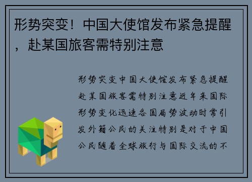 形势突变！中国大使馆发布紧急提醒，赴某国旅客需特别注意