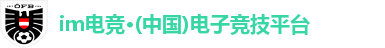 IM电竞app下载