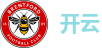 开云